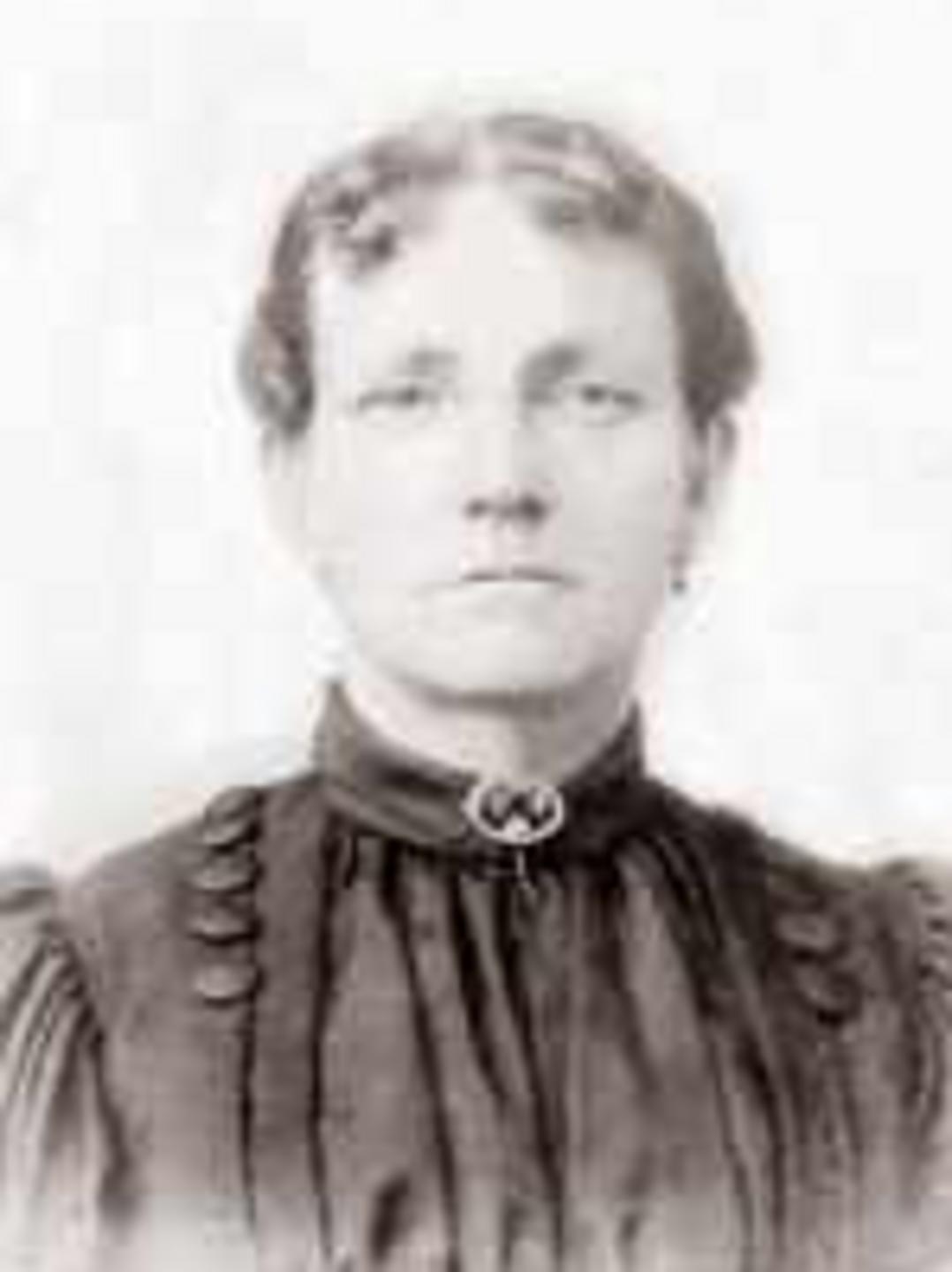 Lois Gunn (1853 - 1926) Profile
